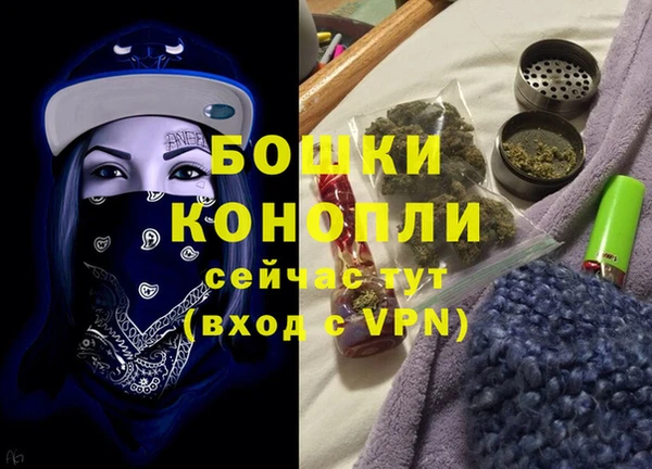 шишки Осташков
