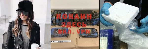шишки Осташков