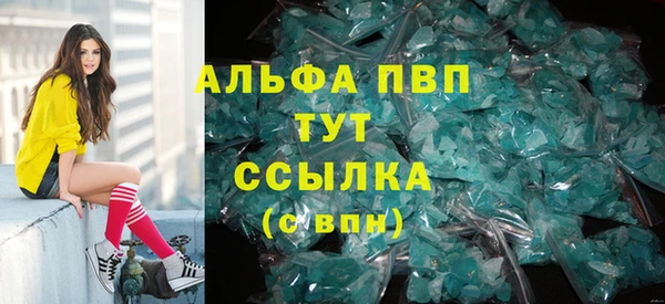 шишки Осташков