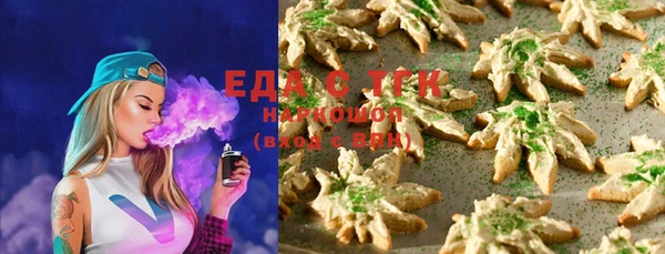 шишки Осташков