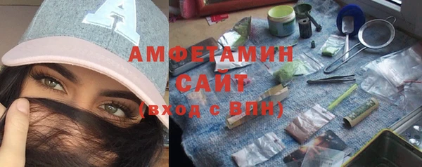 шишки Осташков