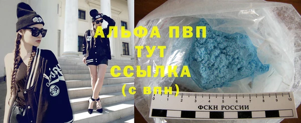 шишки Осташков