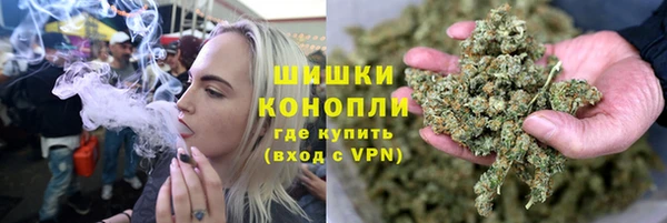 шишки Осташков