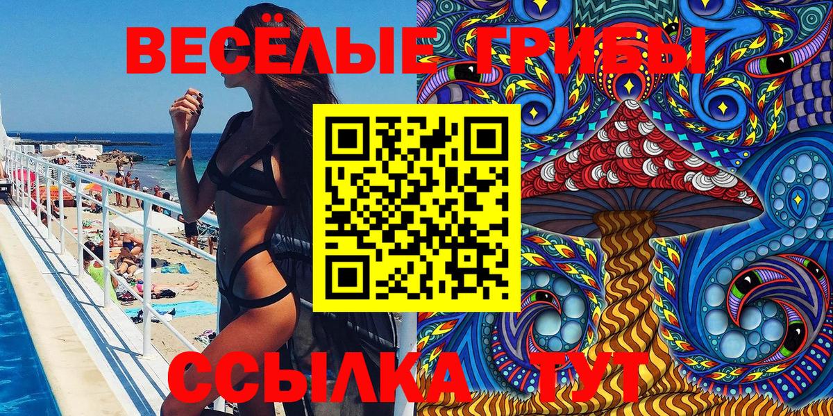 Слободской  Псилоцибиновые грибы Psilocybe  Псилоцибиновые грибы прущие грибы  Вход с VPN 