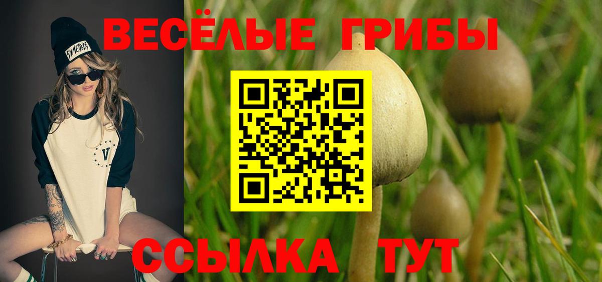 Псилоцибиновые грибы прущие грибы Слободской