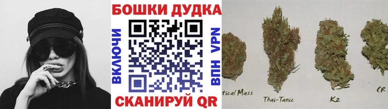 Канабис сатива  Слободской 